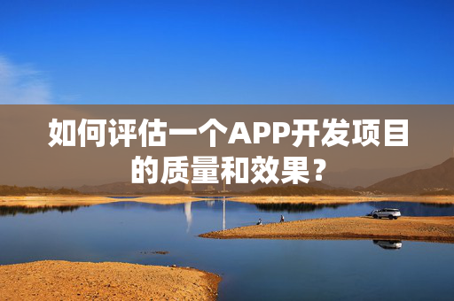 如何评估一个APP开发项目的质量和效果？