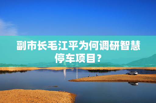 副市长毛江平为何调研智慧停车项目？