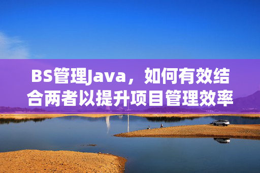 BS管理Java，如何有效结合两者以提升项目管理效率？