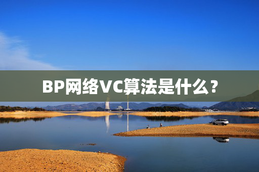 BP网络VC算法是什么？