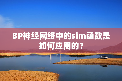 BP神经网络中的sim函数是如何应用的？