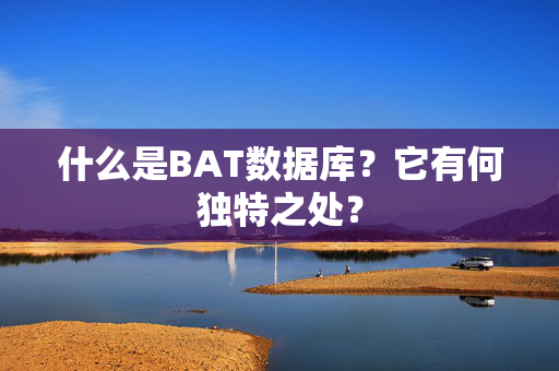 什么是BAT数据库？它有何独特之处？