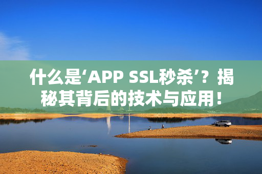 什么是‘APP SSL秒杀’？揭秘其背后的技术与应用！