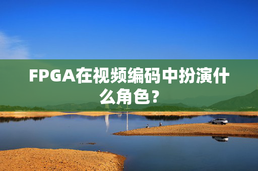 FPGA在视频编码中扮演什么角色？