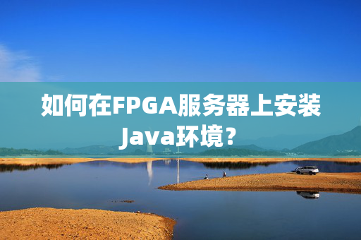 如何在FPGA服务器上安装Java环境？